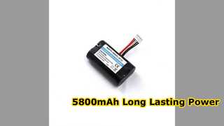 5800mAh 3.6V Rechargeable Lithium Battery